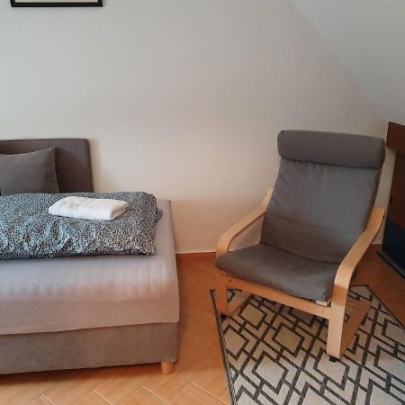 Enjoy 110Qm Apartment Im Historischen Zentrum Šoproň Exteriér fotografie