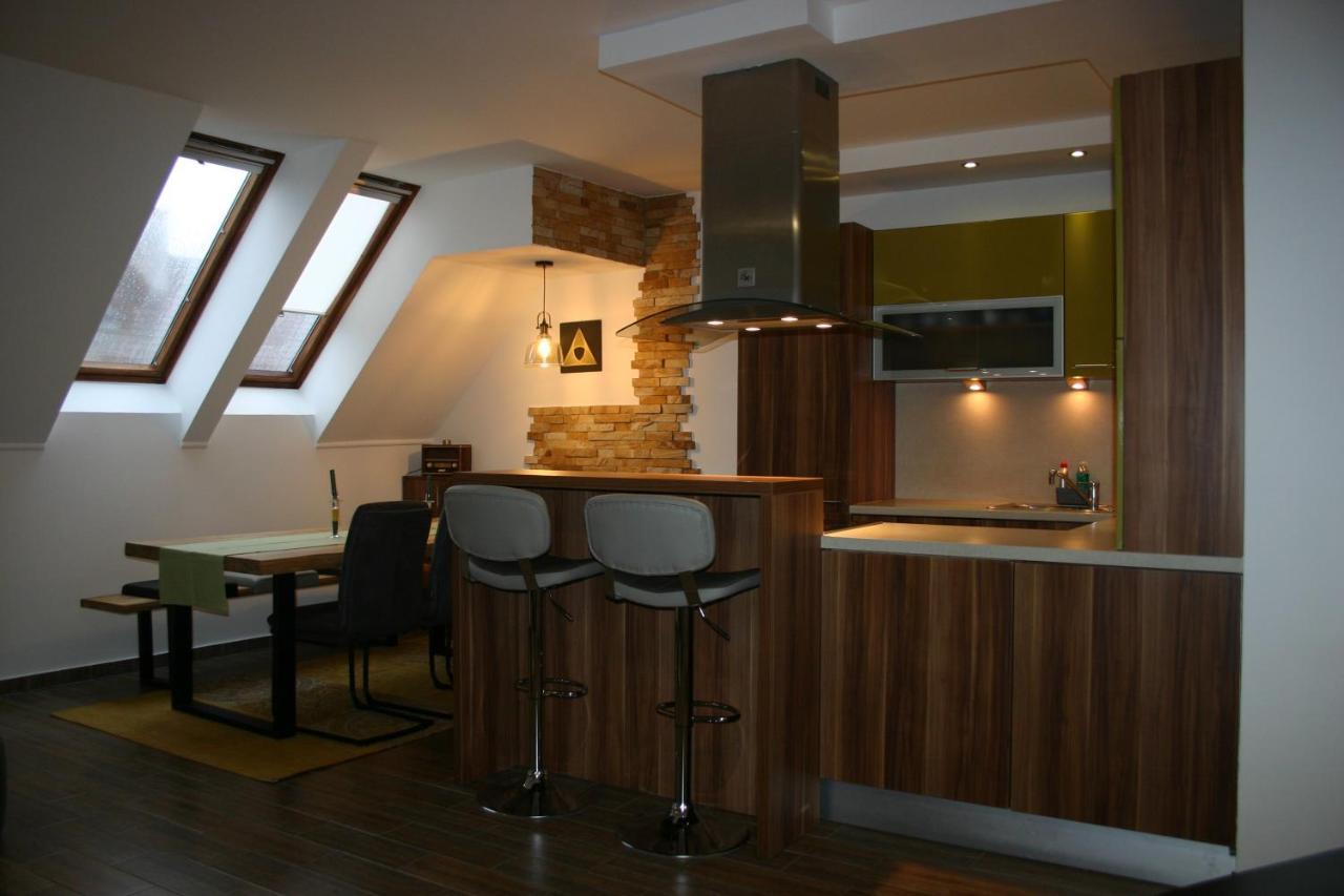Enjoy 110Qm Apartment Im Historischen Zentrum Šoproň Exteriér fotografie