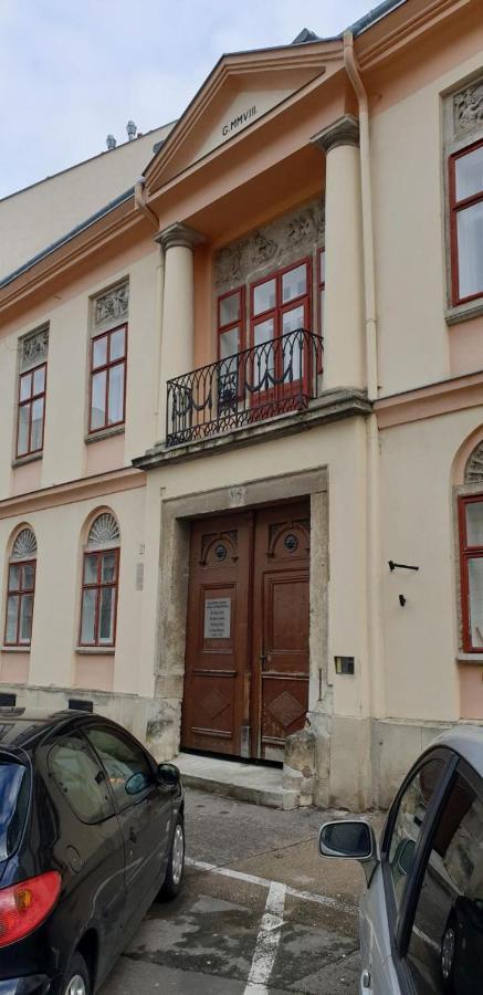 Enjoy 110Qm Apartment Im Historischen Zentrum Šoproň Exteriér fotografie