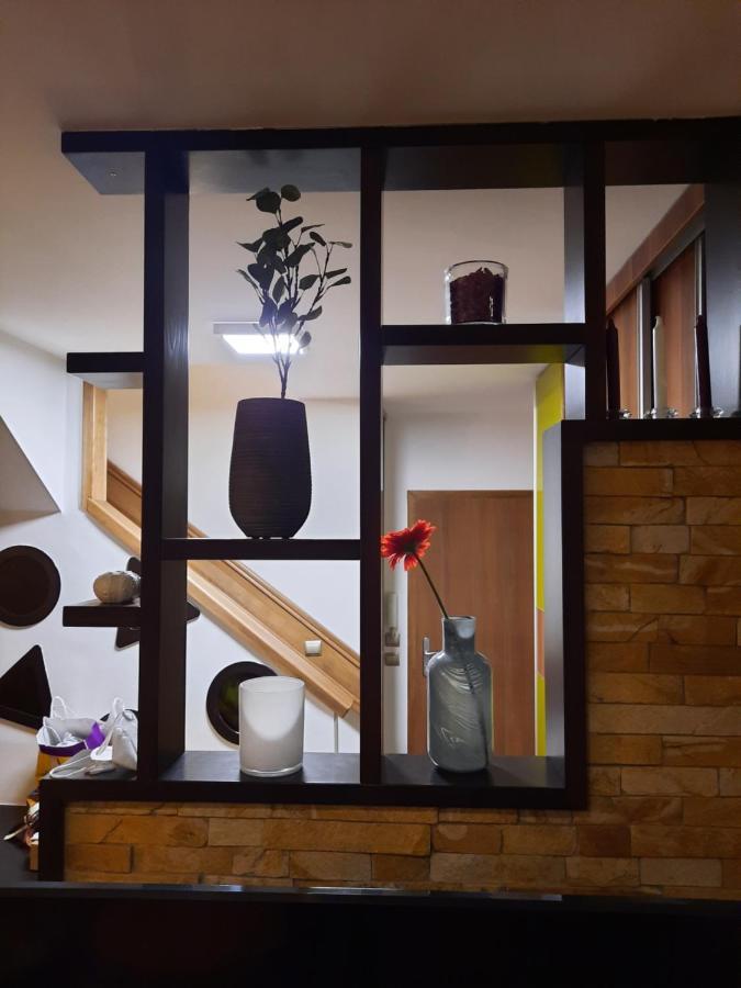 Enjoy 110Qm Apartment Im Historischen Zentrum Šoproň Exteriér fotografie